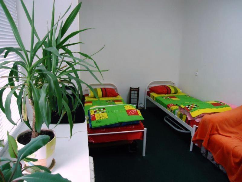 Hostel Kreshatik Киев Номер фото